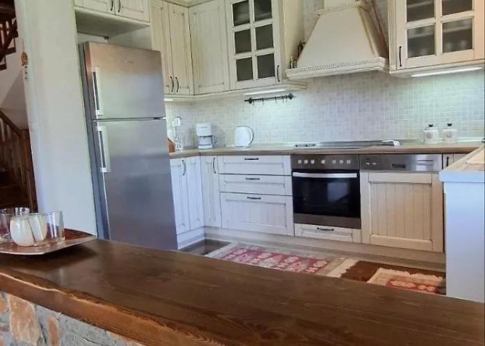 Dom wakacyjny Olympus Mountain House